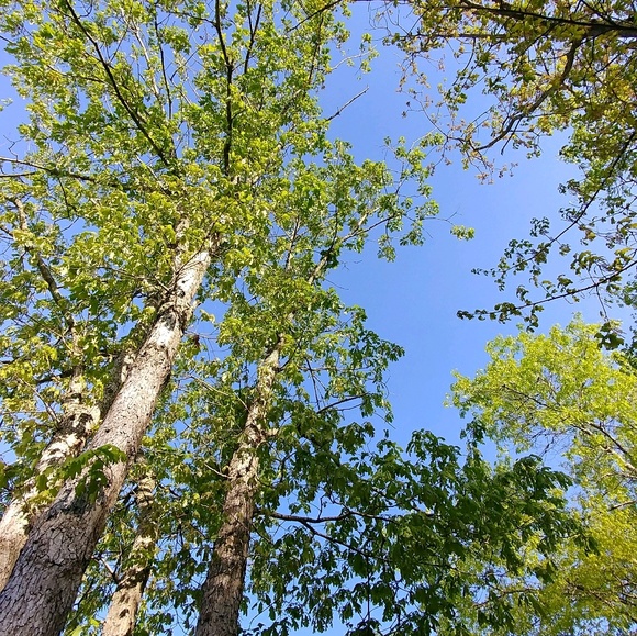 Meet your Posher, Jennifer - Picture 1 of 1